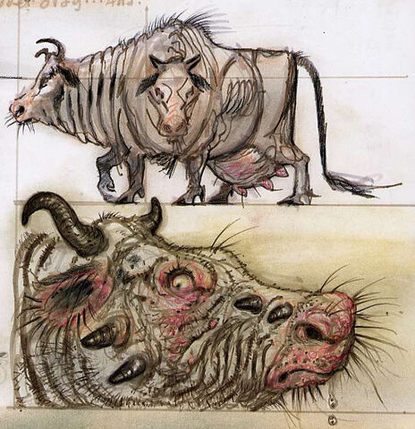 File:BrahminCA6.jpg