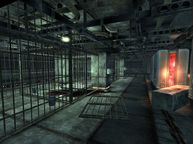File:Y-17 med center cells.jpg