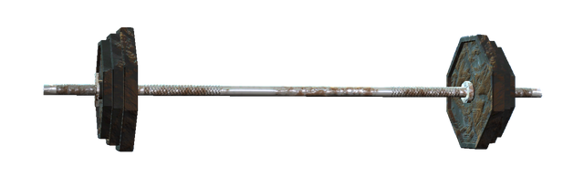 File:80lb barbell.png