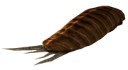 FO3 radroach meat