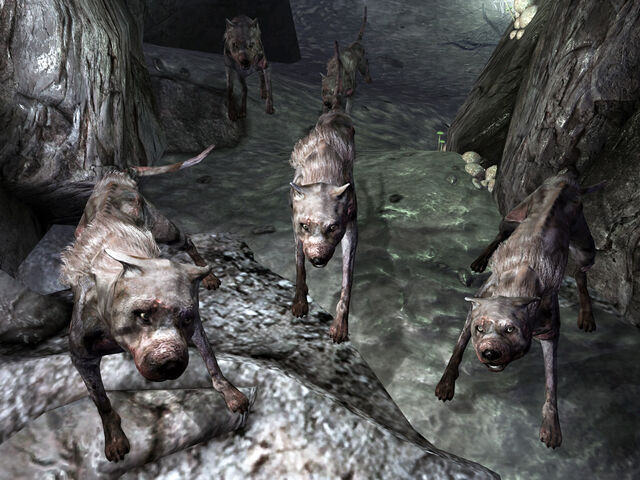File:Vicious dogs Warren.jpg
