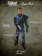 Fnv-classicpack