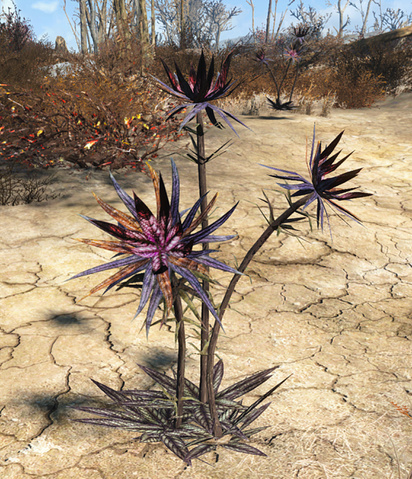 File:FO4 Thistle plant.png