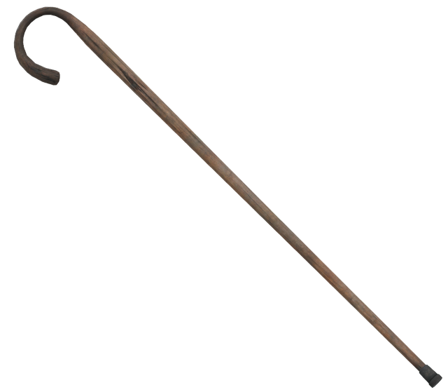 File:Walking cane.png