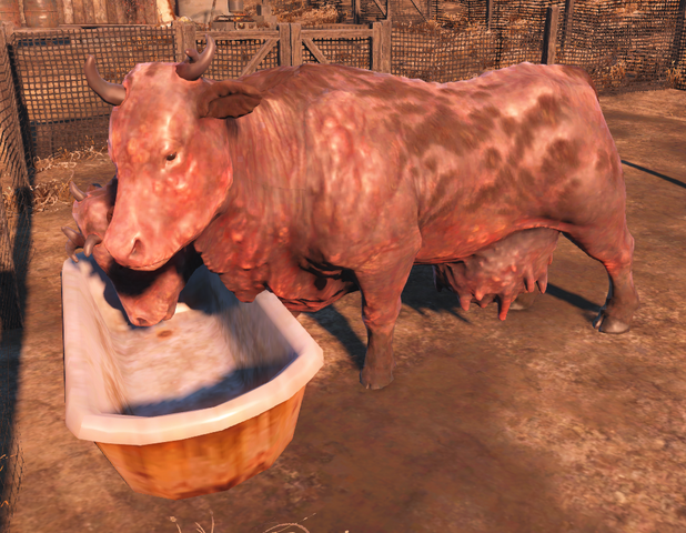 File:Fo4 Clarabell feeding.png