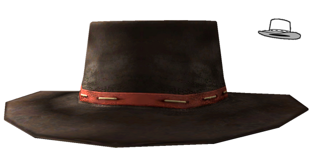 File:Daniels hat.png