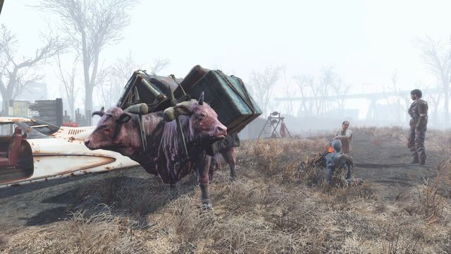 File:FO4IdiotCountyCrossing.jpg