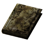 Small Burned Book