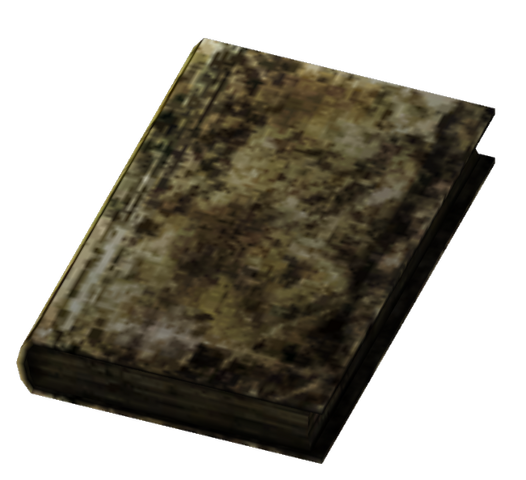 File:Small Burned Book.png