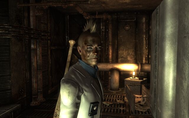 File:VaultSurvivor.jpg