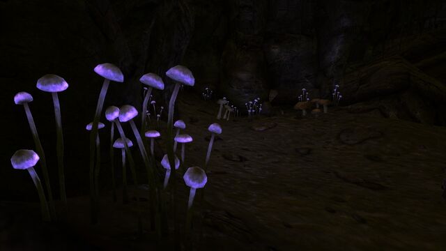 File:Walkingboxpurplefungus.jpg