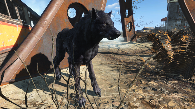 File:Fo4FH vicious wolf.png