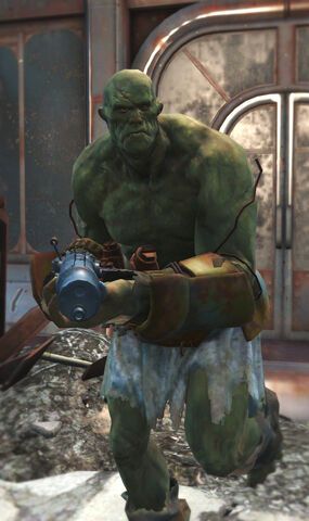 File:Fo4 Vikter.jpg