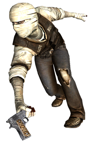 File:JoshuaGrahamMelee.png