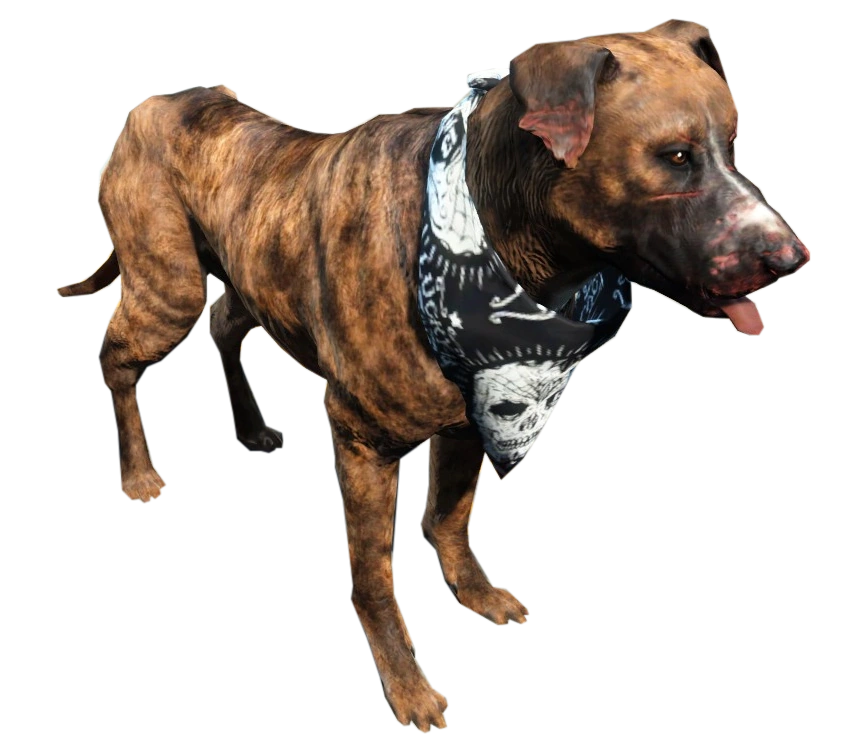 Dog (Fallout 4) Fallout Wiki FANDOM powered by Wikia