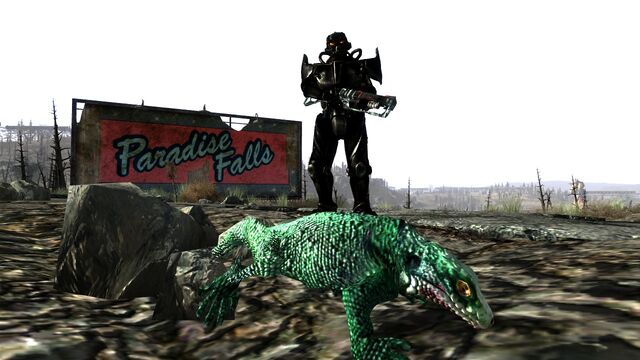 File:Iguana.jpg