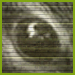 Fool-newsletter-04-01-icon-eichhoernchen