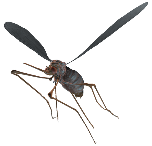 File:Bloodbug.png
