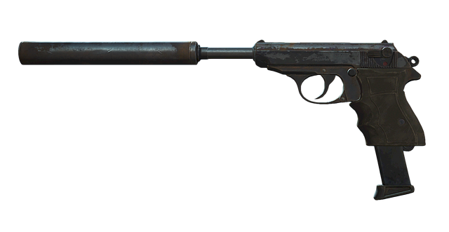 File:FO4 The Deliverer 03.png