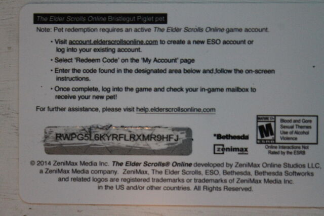 File:ESO Pet Code.jpg