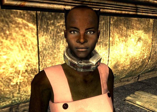 File:FO3 Crimson.jpg