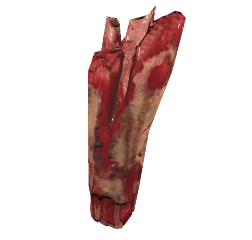 File:FO4 Tissue Sample.png