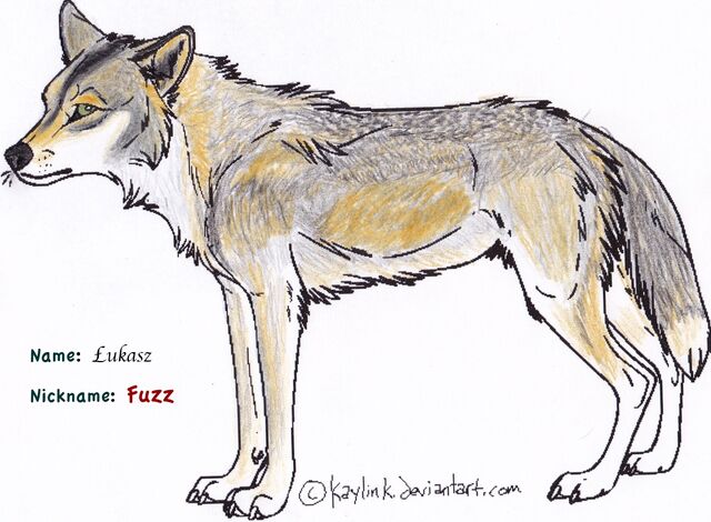 File:Fuzzferalname.jpg