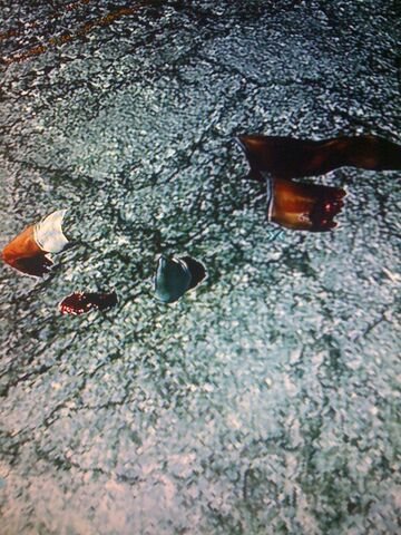 File:Dead invisible guy.jpg
