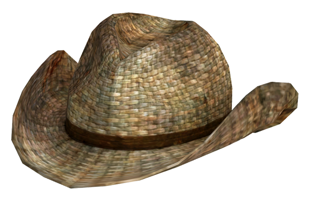 File:Rattan cowboy hat.png