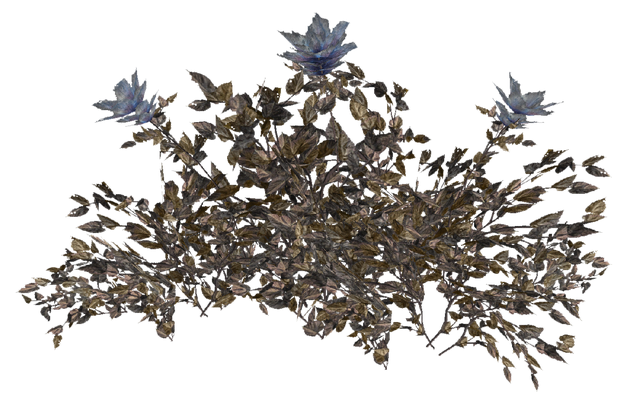 File:FO4 Hubflower 01.png