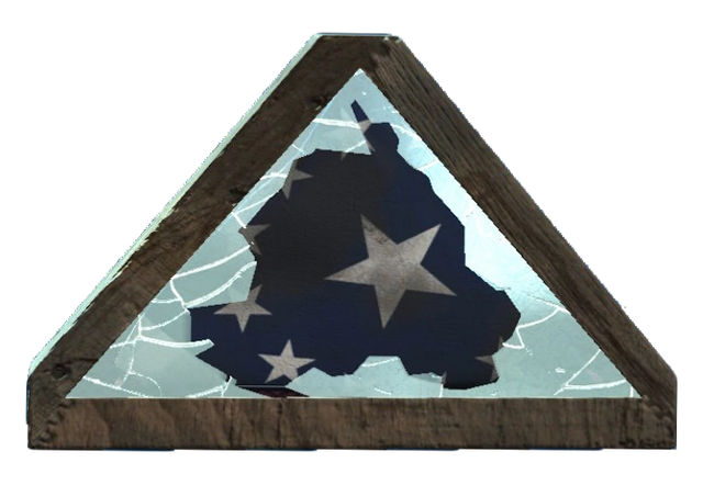 File:Trifold american flag.png
