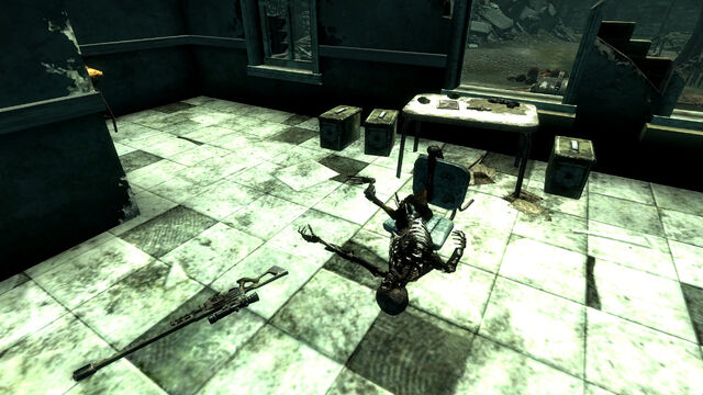 File:Guns and Bullets Mason District South.jpg