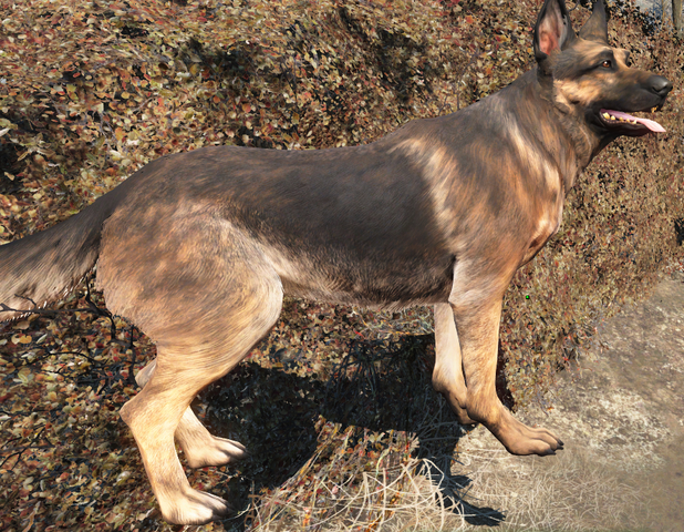 Fájl:Teljesdogmeat.png