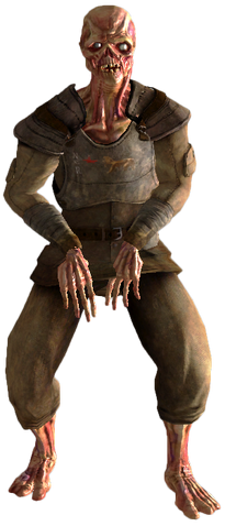 File:Feral trooper ghoul.png