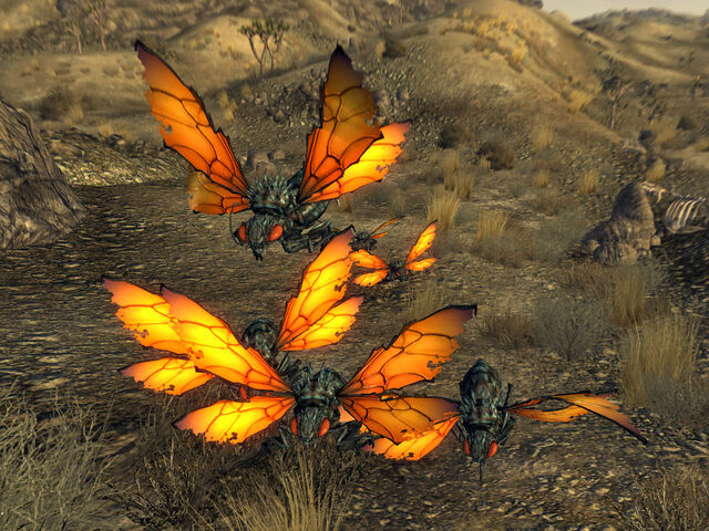 File:Cazadors at nest.jpg