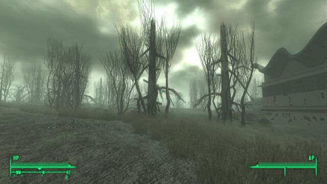 File:PointLookoutTreeGlitch1.jpg