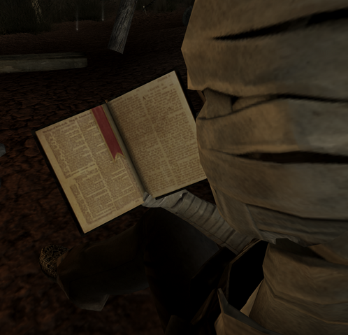 File:JoshuaGrahamBible2.png
