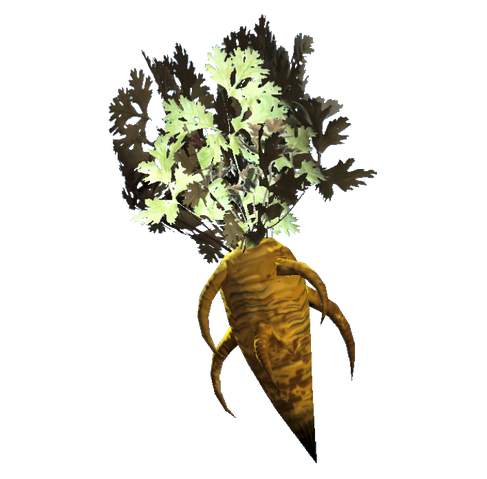 File:Carrot.png