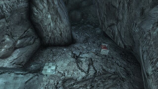File:FO3 CA SOTM Mirelurk nesting hole.jpg