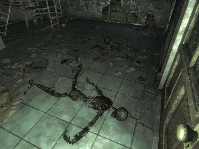 File:FO3 Nuka-Cola plant closet.jpg