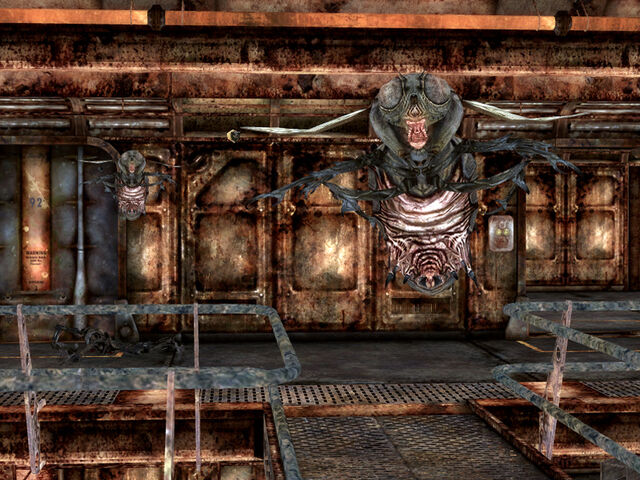 File:Bloatfly Vault 92.jpg