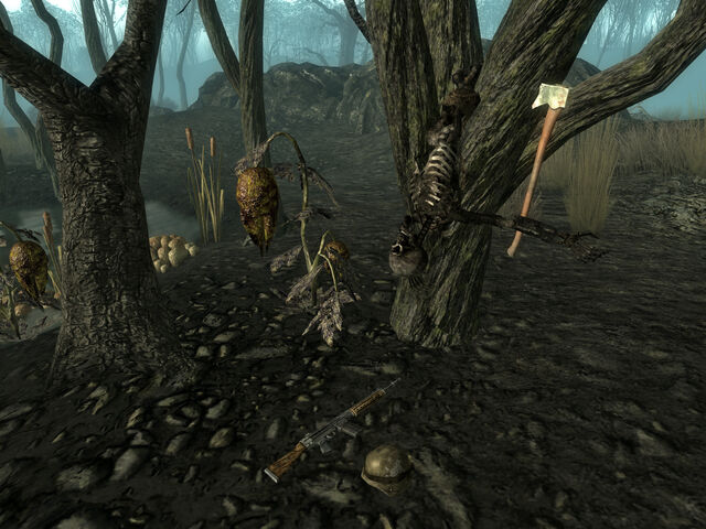 File:Tree landing.jpg