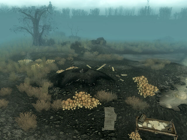 File:Excavated muck hole 2.jpg