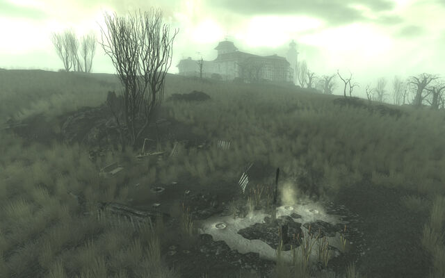 File:Beachview Campsite.jpg