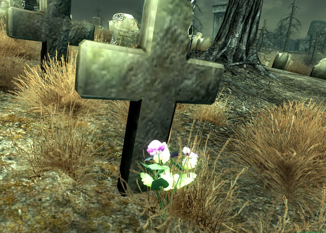 File:Flower AC.jpg