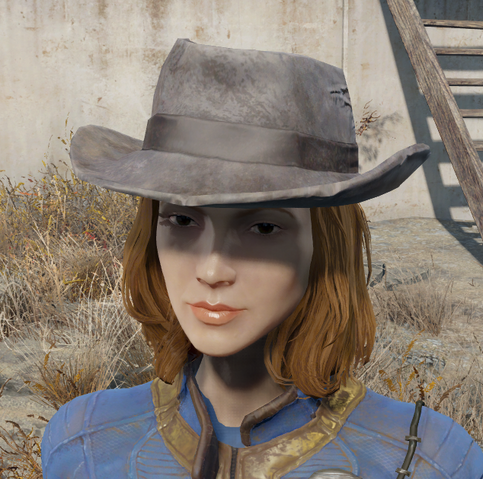 File:Worn fedora.png