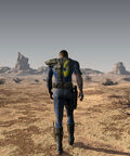 Into the desert.jpg