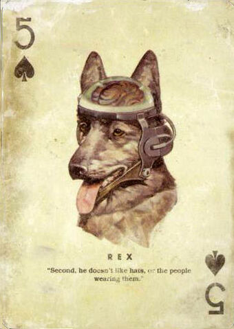 File:5 of Spades.jpg