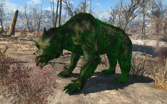 File:Fo4FH irradiated yao guai.jpg
