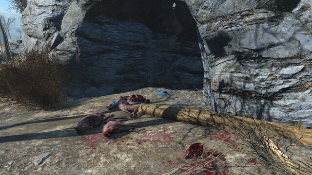 File:Dog armor cave.jpg